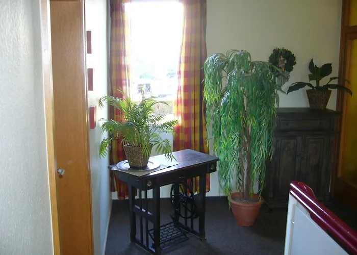 호텔 Theile Garni 3*